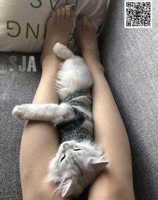 伊人365影院_免VIP免费在线观看