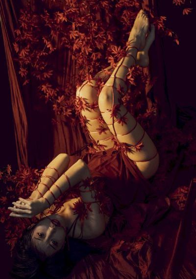 assfree欧美日韩_电视剧完整版在线观看